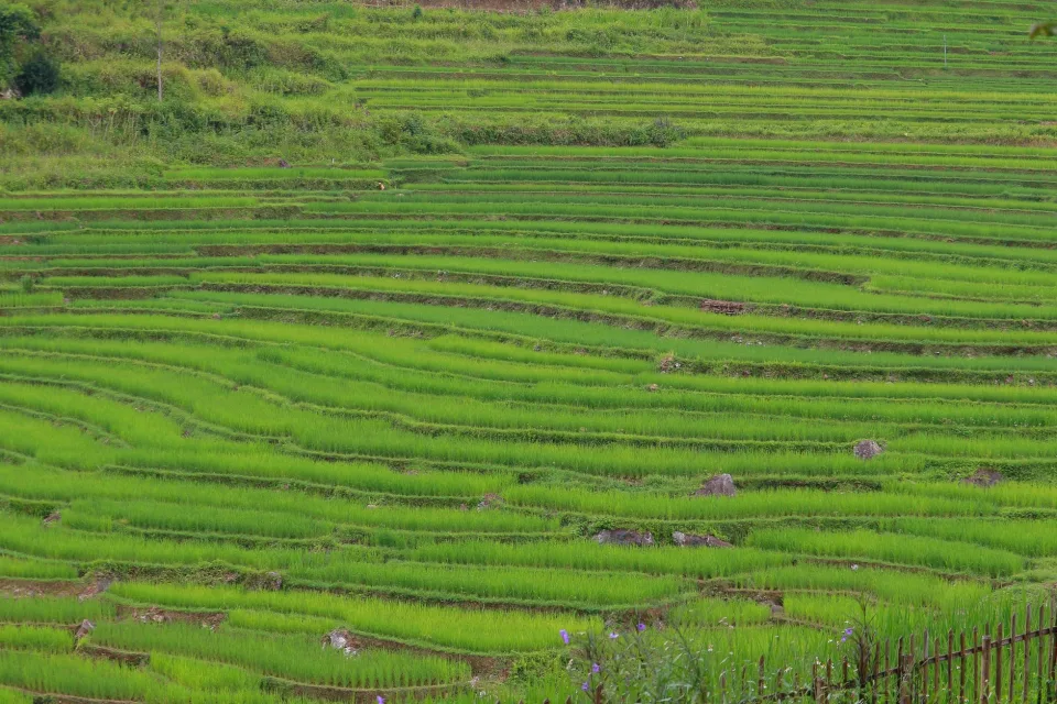 Kho gạo của Trương Thị Hương